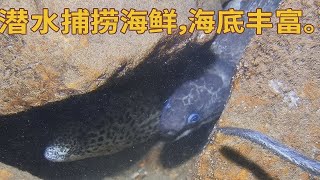 潜水捕捞海鲜。海底种类繁多，资源丰富。