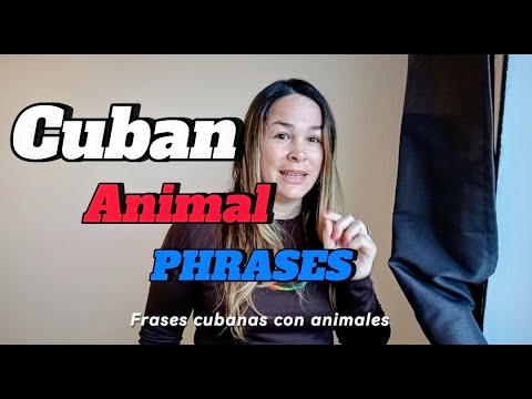 Cuban Slang Animal Phrases All Cuban Use