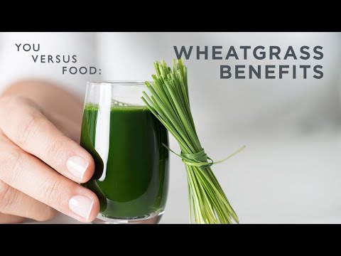 Green heaven wheat grass extract powder, for pharma, packagi...