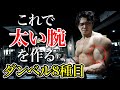 【5分】絶対に腕が太くなる筋トレメニュー!ダンベルのみ!