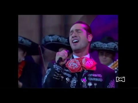 El jinete (El Coloso) – La hija del mariachi