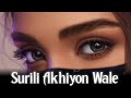Surili Akhiyon Wale Slowed Reverb Salman Khan Zarina Khan Hindi Song