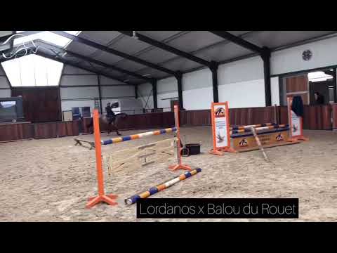 Manuel Albano - Dynamite 🧨