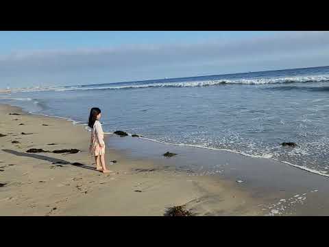 Sunset Beach, Los Angeles (2)