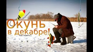 Рыбалка на юге в декабре