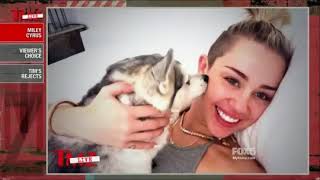 TMZ | Miley Cyrus Pet Medium Reading