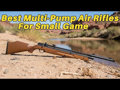 5 Best Multi-Pump Air Rifles For Small Game