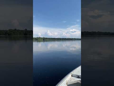 Santa Isabel do Rio Negro/AM