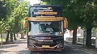 basuri bus pariwisata trans sunthree "raden makhdum ibrahim " 