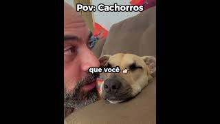 O cachorro entrando no personagem 😂🐶#engraçado #cachorro #shorts