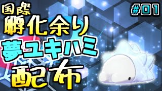 ユキハミ ポケットモンスター ハヤシガメ ツンデツンデ マッギョ ユキハミ ポケットモンスター ハヤシガメ ツンデツンデ マッギョ
