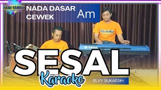 Download lagu Sesal karaoke Elvi -sukaesih nada cewek Am versi koplo bangplak mp3 Download lagu Sesal karaoke Elvi -sukaesih nada cewek Am versi koplo bangplak mp3
