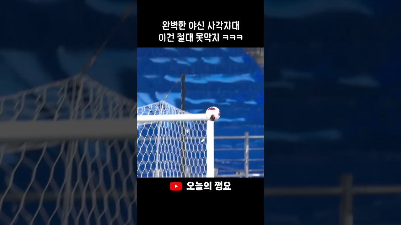 야신 할아버지가 와도 못막을 골 #축구 #kleague #k리그 #football #원더골