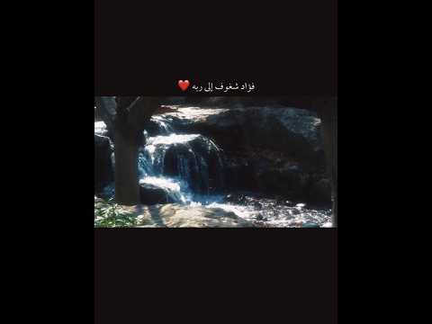 | The beauty of existence -  Muhammad al Muqit | #nasheed