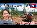ขั้นตอน