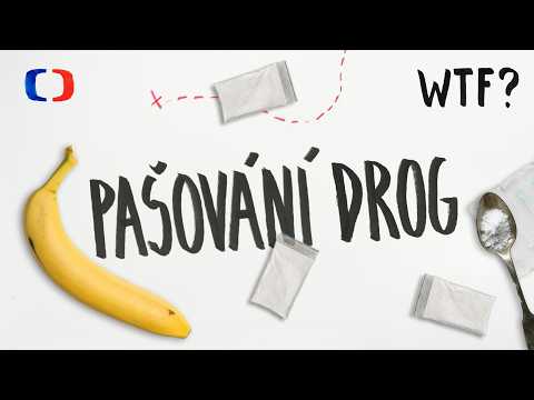 Jak se k nám dostávají drogy? | What the Fact?