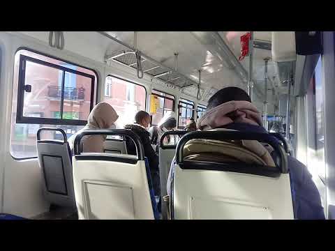 TYTATE-CHVD CX RAPOLAND