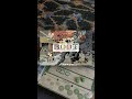 Root Board Game Review In 60 Seconds