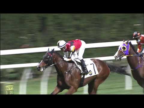 20/1/2021 (360) Stock Legend -  J Moreira