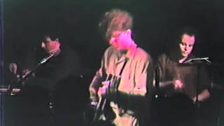 The Feelies - Slipping (into Something)