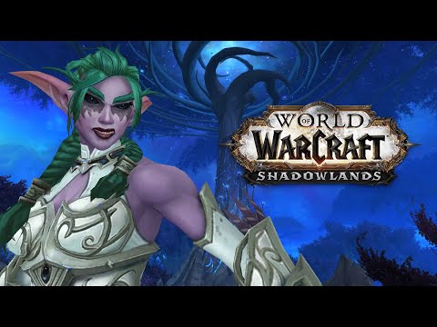 Die Kampagne der Nachtfae #1 Tochter der Nachtkriegerin | WoW Shadowlands Story
