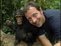 Be The Creature Chimps