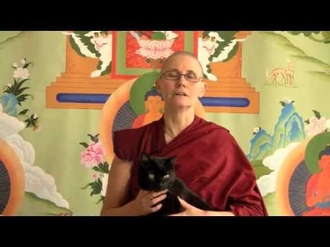 04-21-10 Advice for Dharma Practice: The Power of Prayer - BBCorner