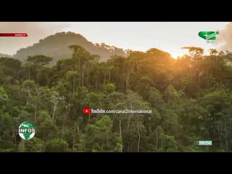 LE JOURNAL 19H50 du Lundi 15/06/2020 - Canal international