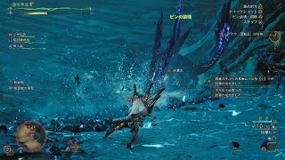 Monster Hunter Wilds_歴戦王初見