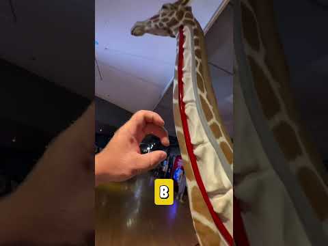 Мощное сердце жирафа 🦒