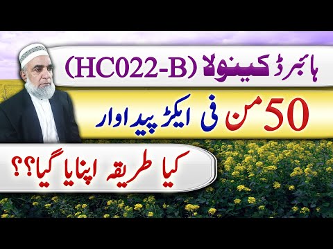 Hybrid Canola HC022-B || Crop Refprmer