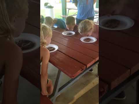 Chocolate pudding eating contest 
