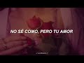 locumbia - vaes - letra