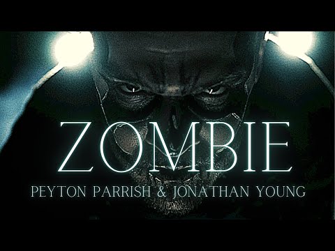 The Cranberries - Zombie (Peyton Parrish Cover) Prod. by 