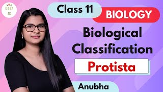 Class 11 || Kingdom Protista || NCERT