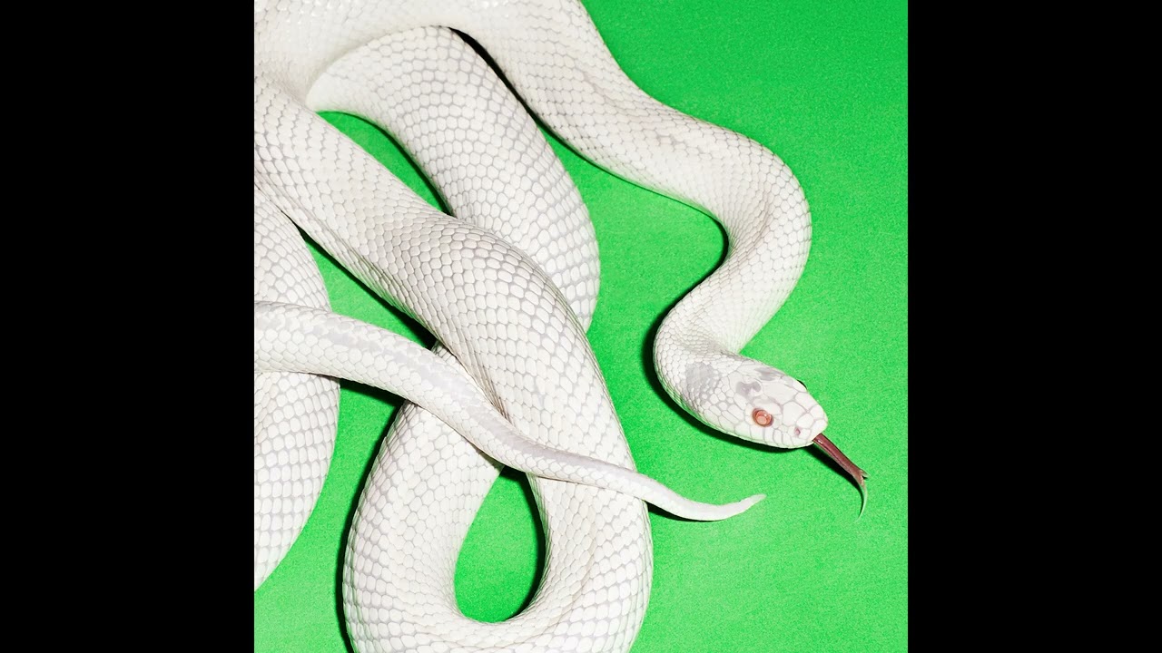 Deftones - infinite source - YouTube