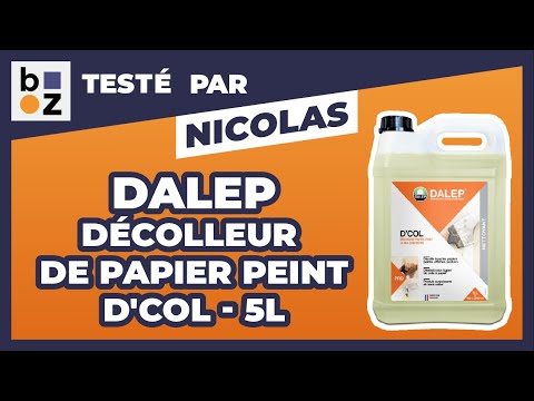 Décolleur de papier peint - surpuissant - D'COL DALEP