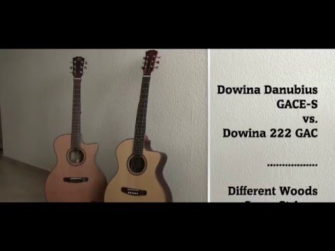 Dowina Danubius GACE-S vs. Dowina 222 GAC