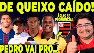 NOTÍCIA PRA DEIXAR A NAÇÃO DE QUEIXO CAÍDO! PEDRO VAI JOGAR.. ÁRIAS SE PRONUNCIA SOBRE FLAMENGO!