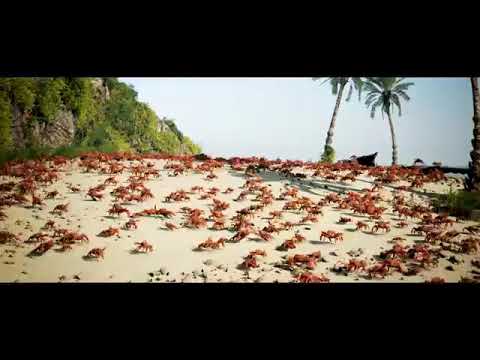 Crab Rave Dances to Bochka Bass Kolbaser (MEME PART 4)