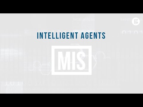 Information Systems in Life