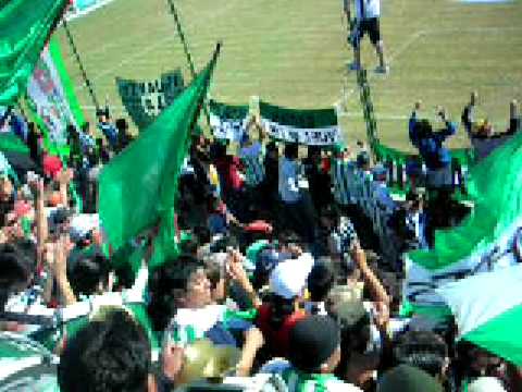 download lagu mp3 mp4 La Banda Del Verde, download lagu La Banda Del Verde gratis, unduh video klip La Banda Del Verde