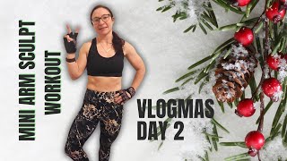 Mini Sculpted Arms Workout (4 minutes No equipment)