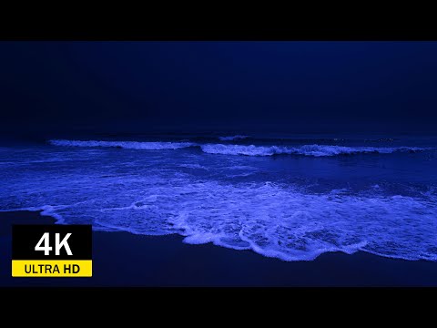 Find Peace With The Rhythmic Sound Of Blue Waves Lapping On The Soothing Beach 4K Video