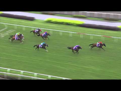 SRA 2013 (Champion Jockey - Joao Moreira)