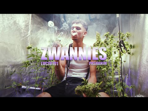 Lucio101 x Pashanim - Zwannies (prod by prettyboidkay)