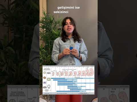 Merve Kılcan-4