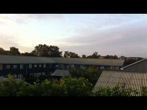 Hundige i TimeLapse