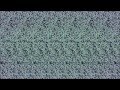 Young Rival - Black Is Good [Official ...