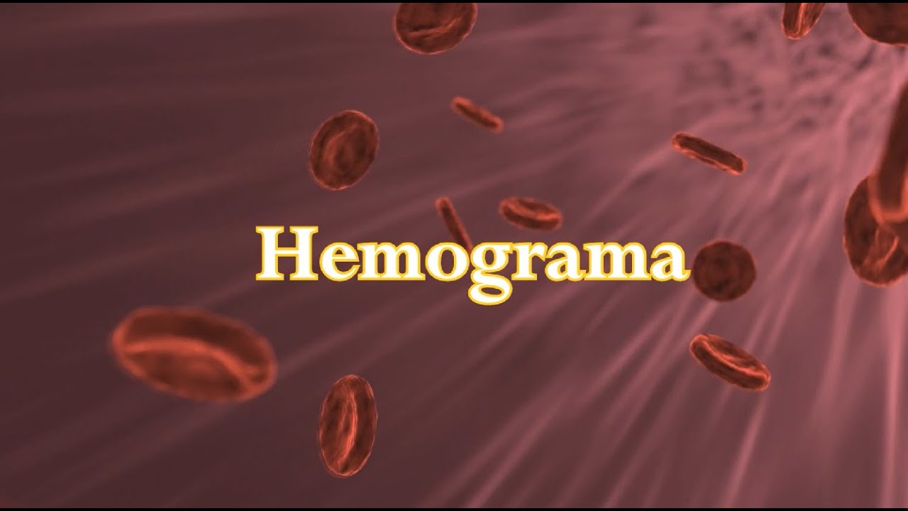 Giuseppe Potrick Stefani-10